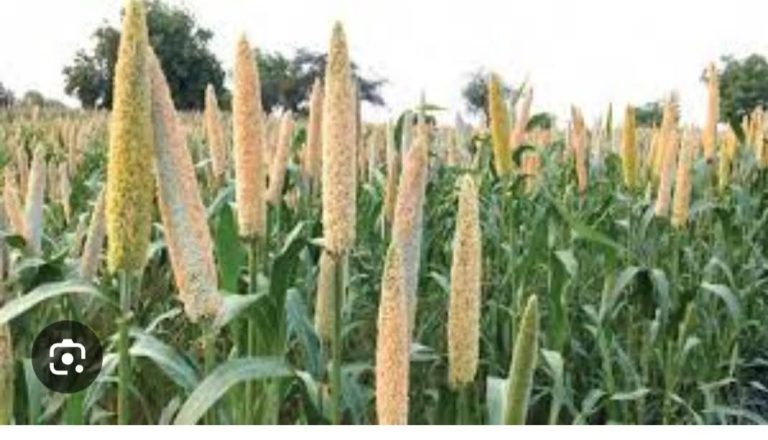 FB_IMG_1751555004810