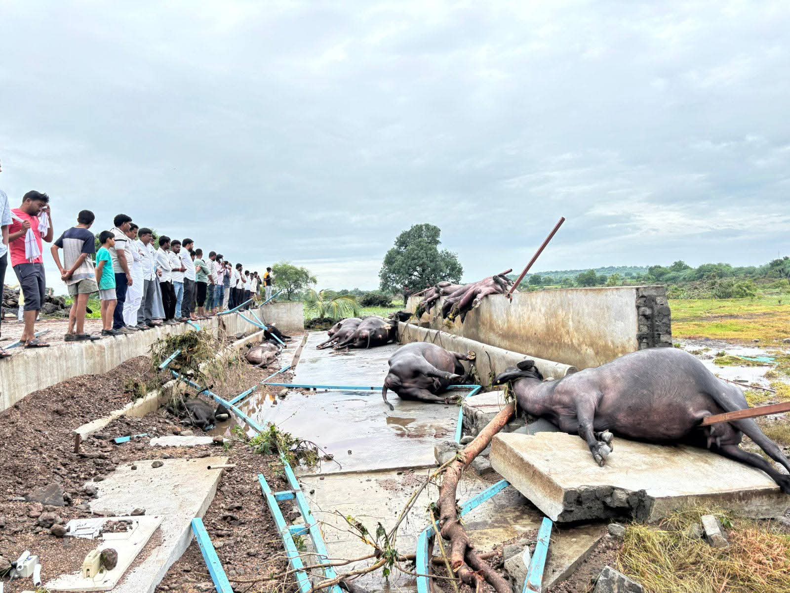 FB_IMG_1755527060965