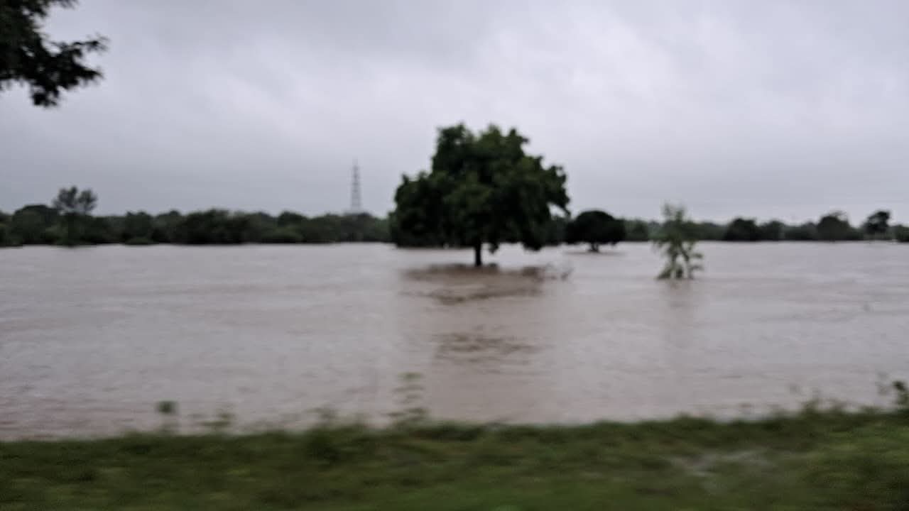 FB_IMG_1756434777537