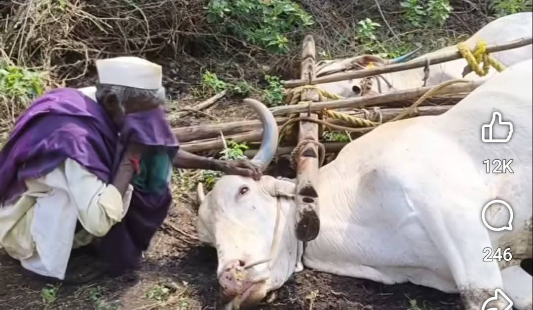 FB_IMG_1759044316602