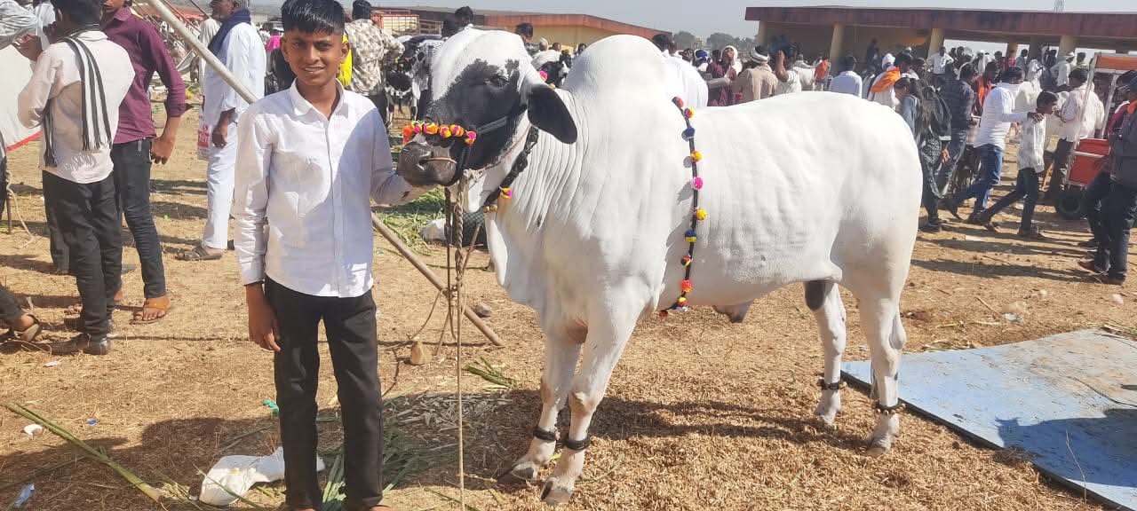 FB_IMG_1766197469973